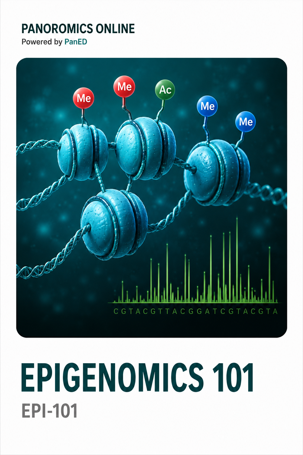 Epigenomics 101