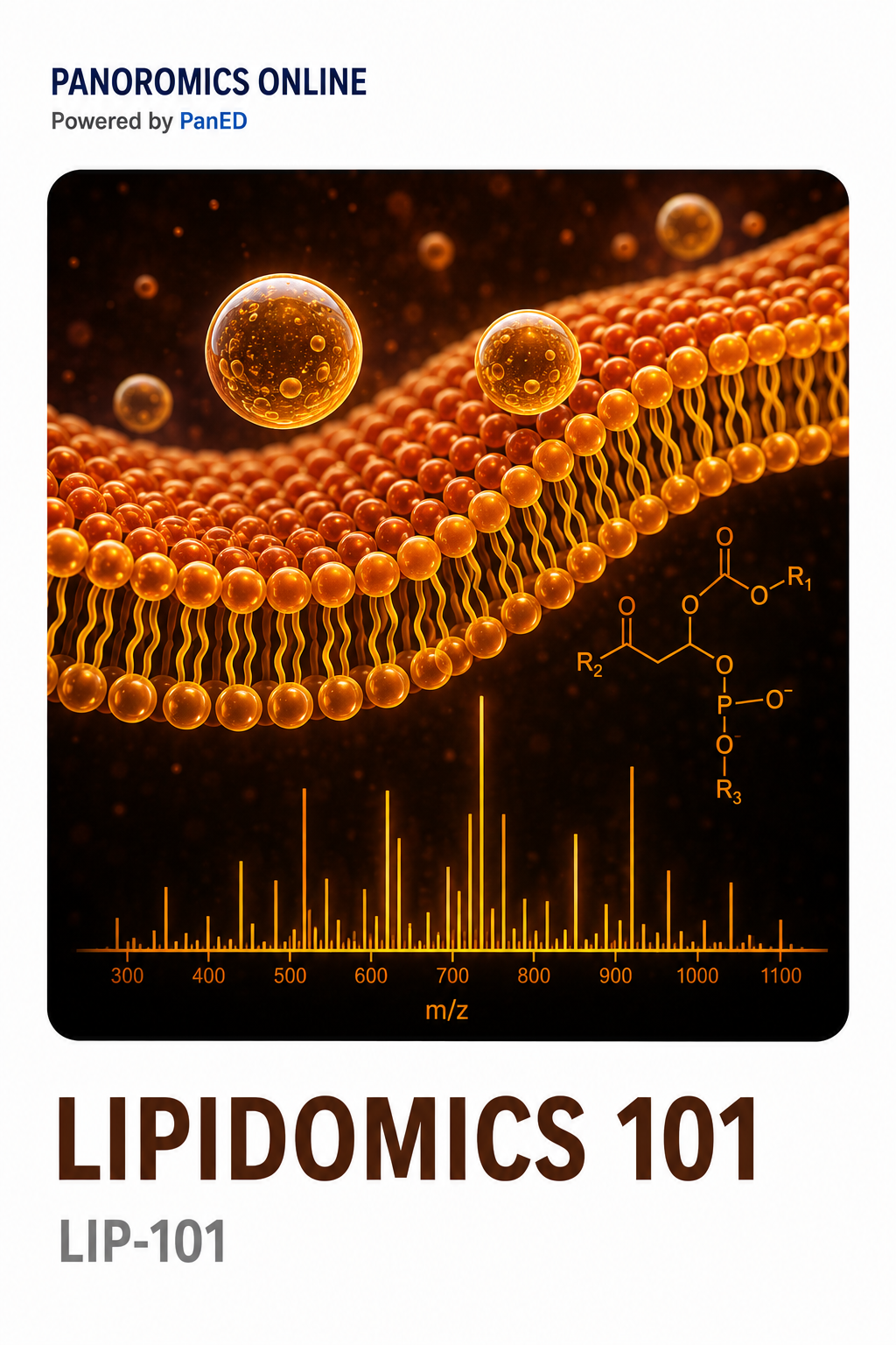 Lipidomics 101